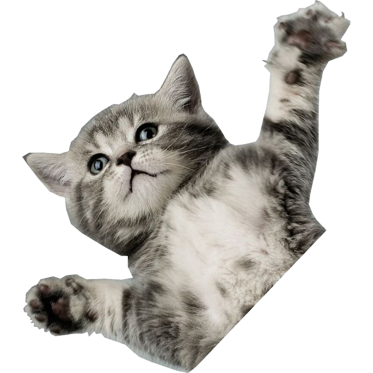 One Ball Jay Flying Cat Stomp Pad