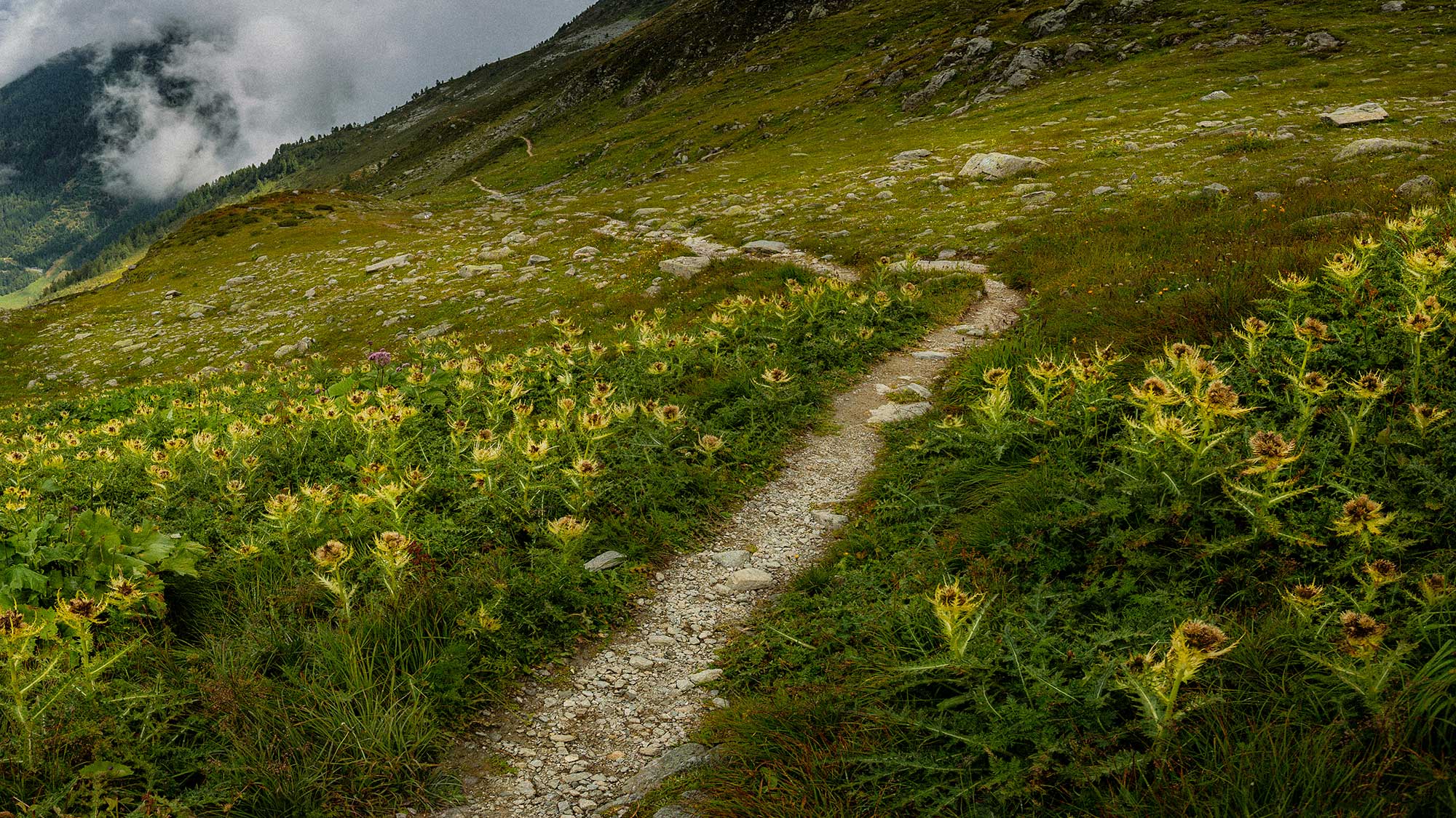 Off-Season Training for Snowboarding